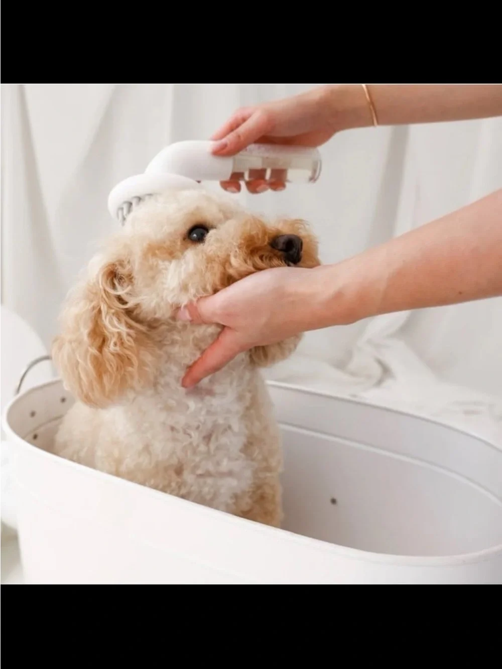 White Dog Grooming Foam Dispenser Brush